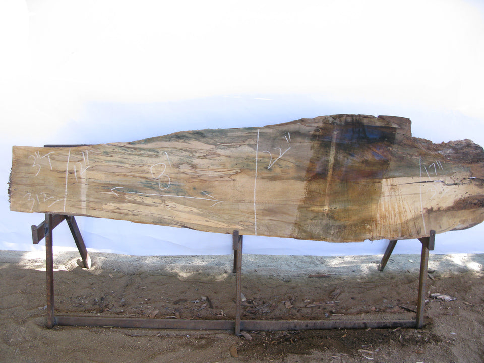 Spalted Maple C Slab 3" x 17" x 8' MAP-312