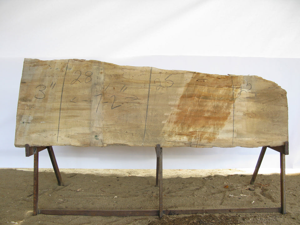 Spalted Maple A Slab 3" x 25" x 7' MAP-237